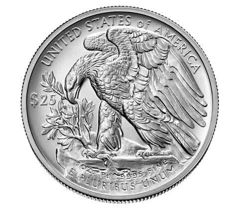2023-W 1 oz Palladium First Strike DCAM SP70 — view 2